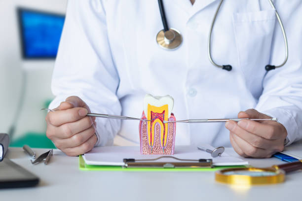 Best Emergency Dental Extractions in Red Boiling Springs, TN